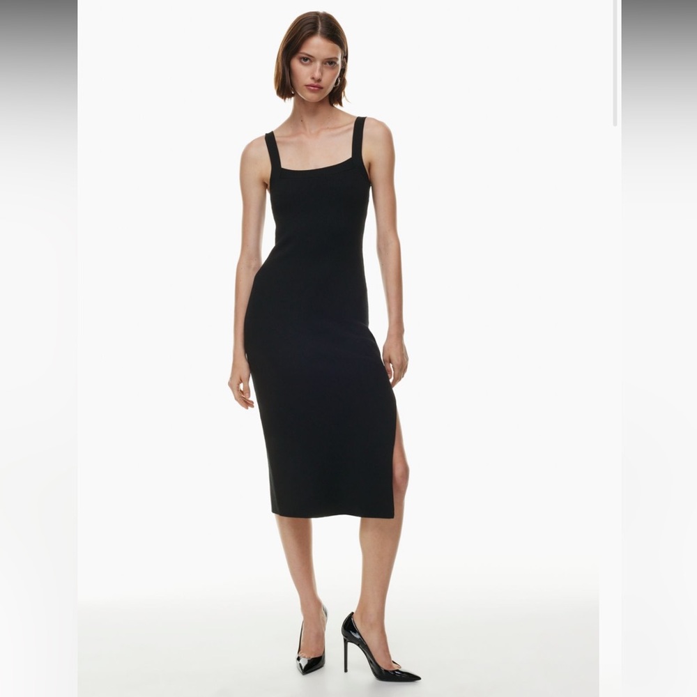 Aritzia Babaton Chase Knit Dress